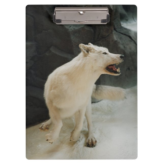 Porte-bloc Loup blanc (Devant)