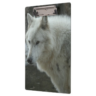 Porte-bloc Loup blanc