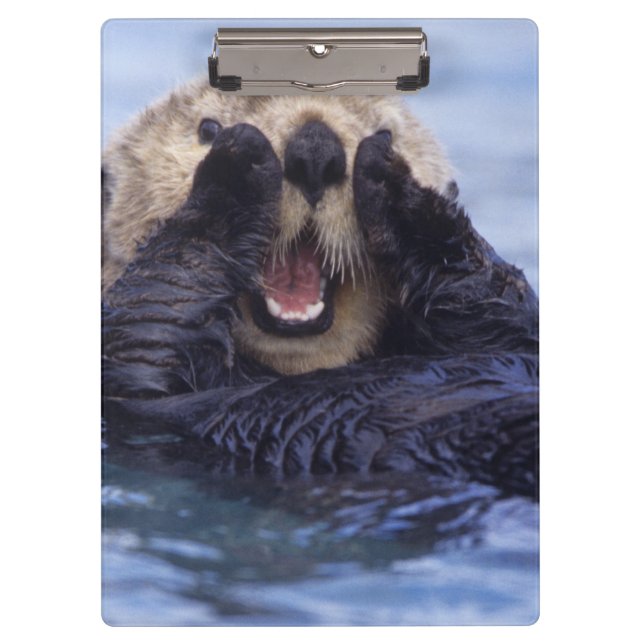 Porte-bloc Loupe de mer | Alaska, USA (Devant)