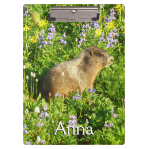 Porte-bloc Marmotte dans les fleurs sauvages du mont Rainier