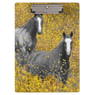 Porte-bloc Moutarde et chevaux