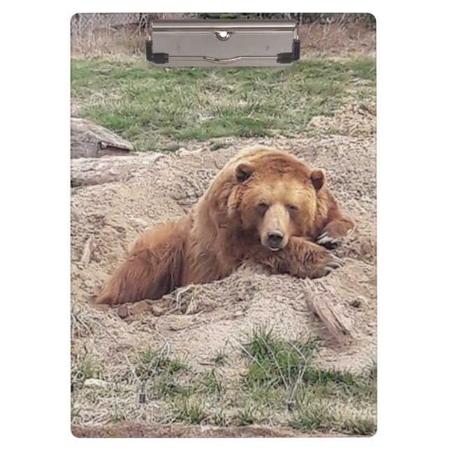 Porte-bloc Nap ours (Devant)