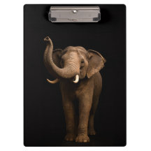 Porte-bloc noir 4 Luxe, éléphant majestueux