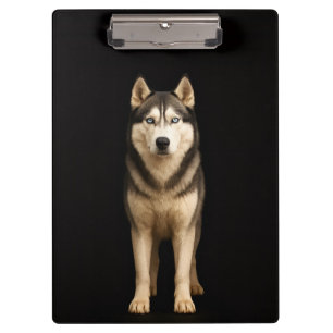 Porte-bloc noir 4 Luxe, Husky Elite Glacé