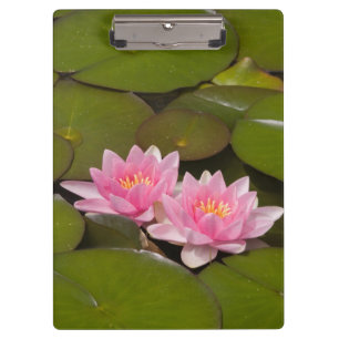 Porte-bloc Nymphéas en fleurs