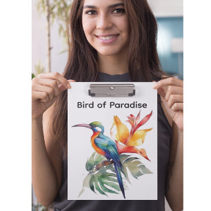 Porte-bloc Oiseau du Paradis, fleur phantasy coloré