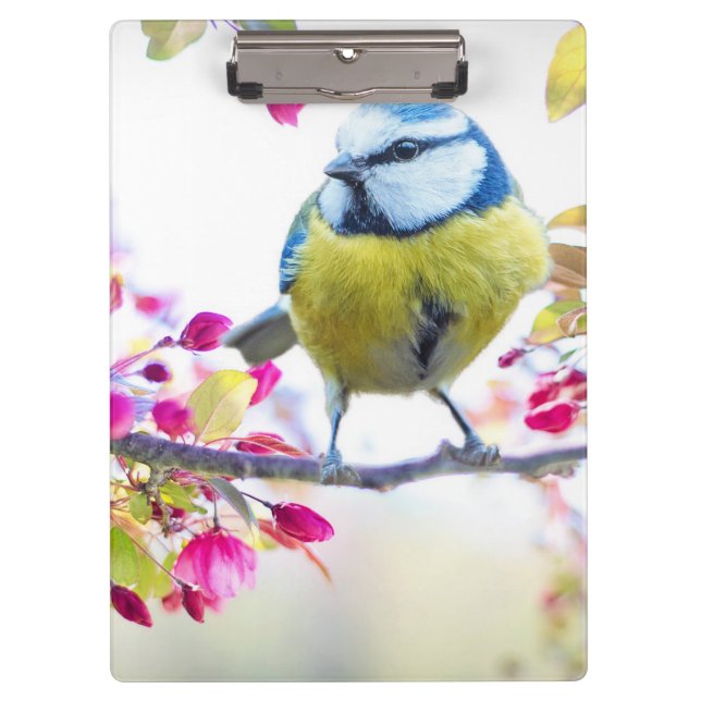 Porte-bloc Oiseau mignon (Devant)