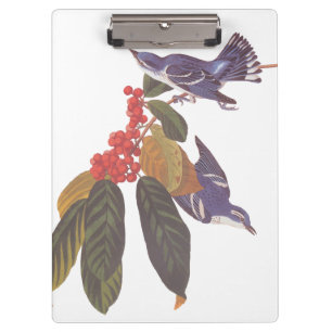 Porte-bloc Oiseaux de Paruline Céruleenne d'Audubon avec baie