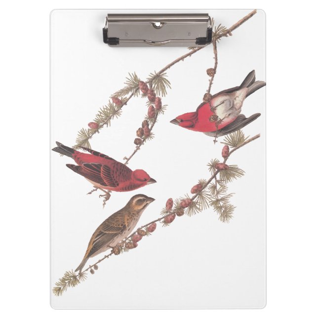 Porte-bloc Oiseaux rouges pourpres d'Audubon sur l'arbre à co (Devant)