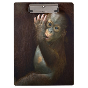 Porte-bloc Orang-outan
