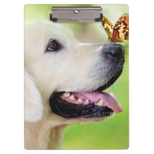 Porte-bloc Oreiller À Lancer Du Labrador Et Du Papillon