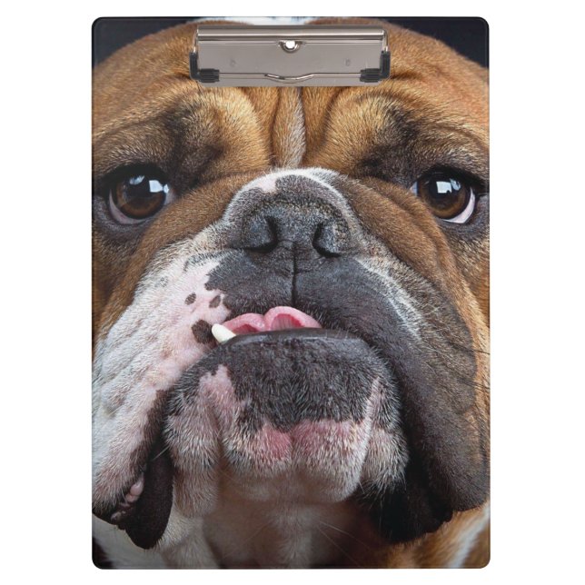Porte-bloc Oreillers à lancer de Bulldog anglais (Devant)