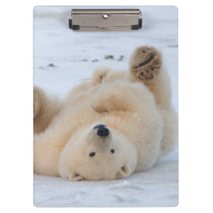 Porte-bloc ours polaire, Ursus maritimus, ourson roulant 3