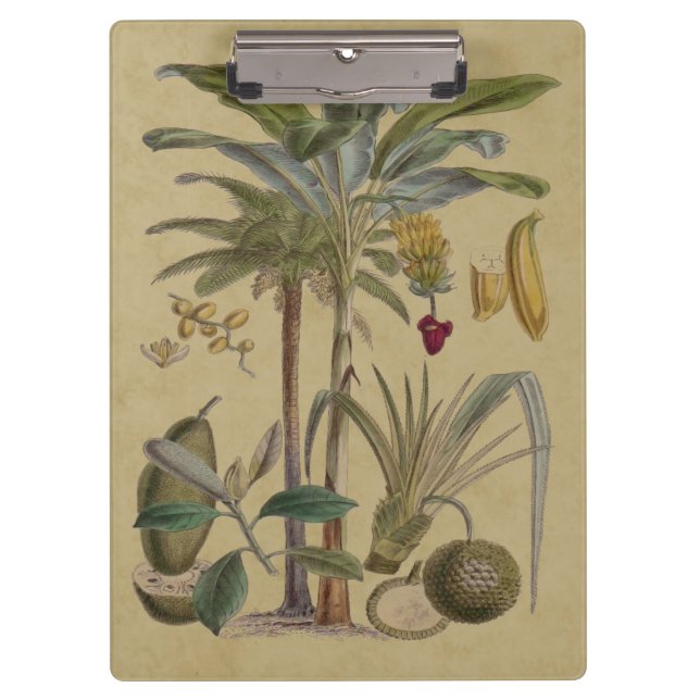 Porte-bloc Palm Antique Fruit Tropical Art Botanique (Devant)