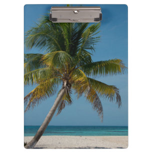 Porte-bloc Palmier et plage de sable blanc  2