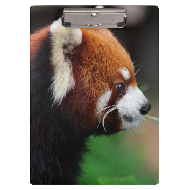 Porte-bloc Panda rouge (Devant)