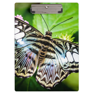 Porte-bloc Papillon Clipper Bleu