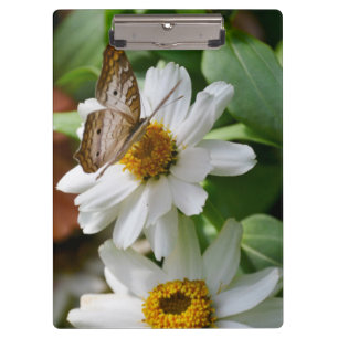 Porte-bloc Papillon et marguerites Peacock porte - bloc/blanc