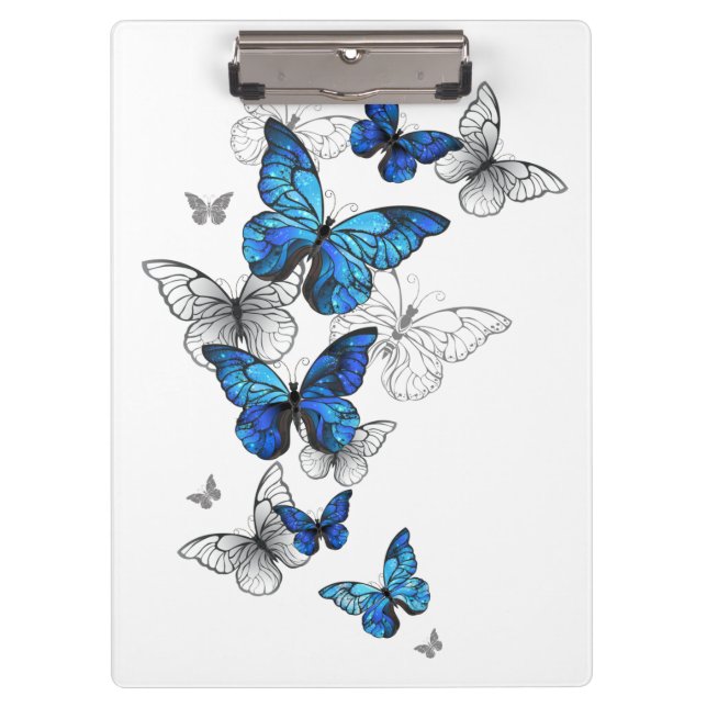 Porte-bloc Papillons volants bleus Morpho (Devant)