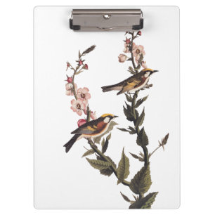 Porte-bloc Paruline audubon ornithologique à châtaignes sur F