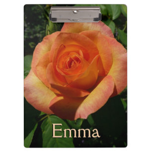 Porte-bloc Peach Rose Orange Floral Photographie