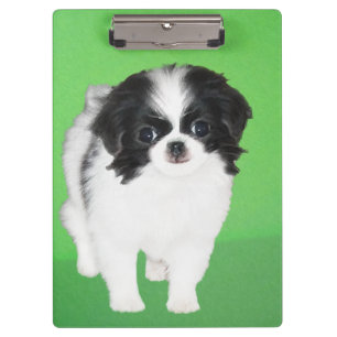 Porte-bloc Peinture japonaise de chiot - Art original de chie