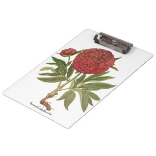 Porte-bloc Peonies vintages, Fleurs de pivoines par Basilius 