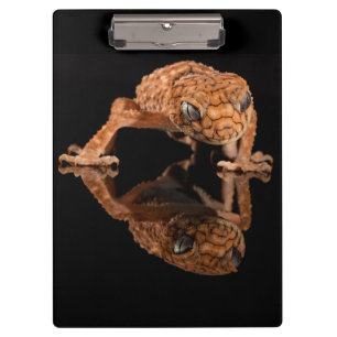 Porte-bloc Petit lézard cuit Reptile avec réflexion