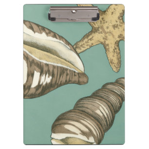 Porte-bloc Petit trio de Shell sur Teal