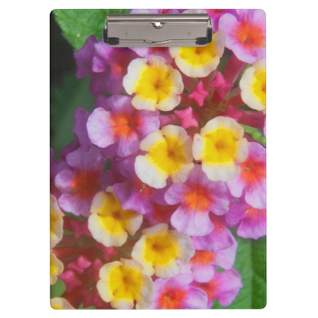 Porte-bloc Petites fleurs tropicales roses et violettes jaune (Devant)