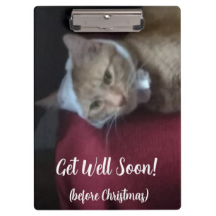 Porte-bloc Photo de chat roux, Prompt rétablissement,