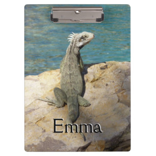 Porte-bloc Photographie de la faune tropicale Iguana à St. Th