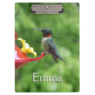 Porte-bloc Photographie d'oiseau Colibri à gorge rubis