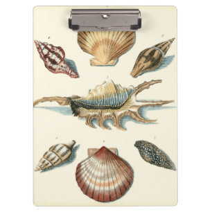 Porte-bloc Plage de Shell soignée