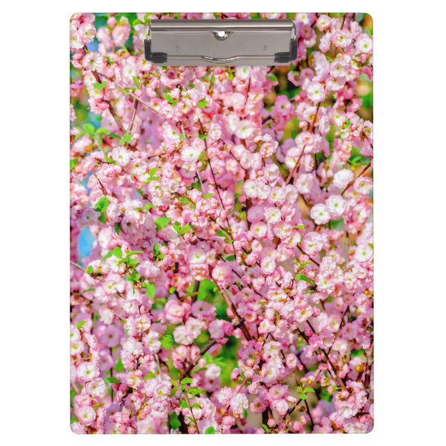 Porte-bloc Plum à fleurs (Devant)