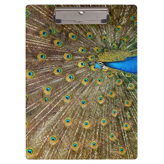 Porte-bloc Plumes de queue de paon (Devant)