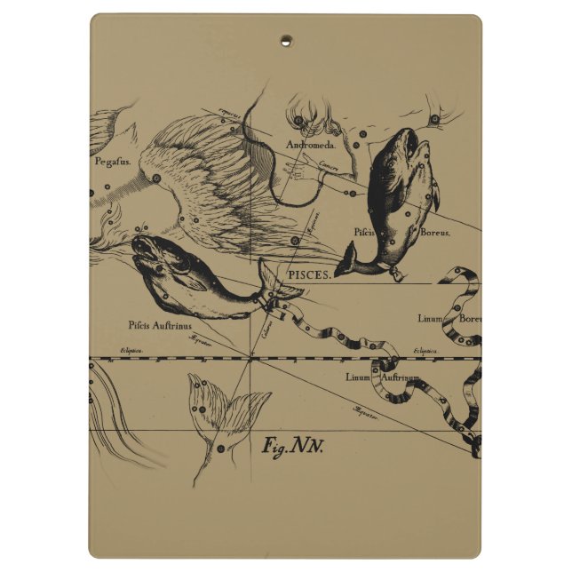 Porte-bloc Poissons Constellation Hevelius vers 1690 (Dos)