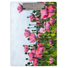 Porte-bloc Poppies roses