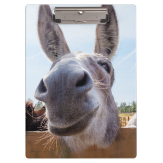 Porte-bloc Porte - bloc âne souriant