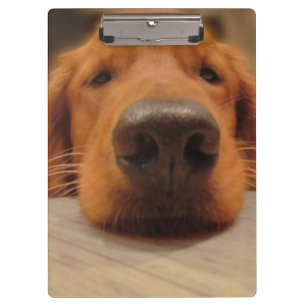 Porte-bloc Porte - bloc de golden retriever