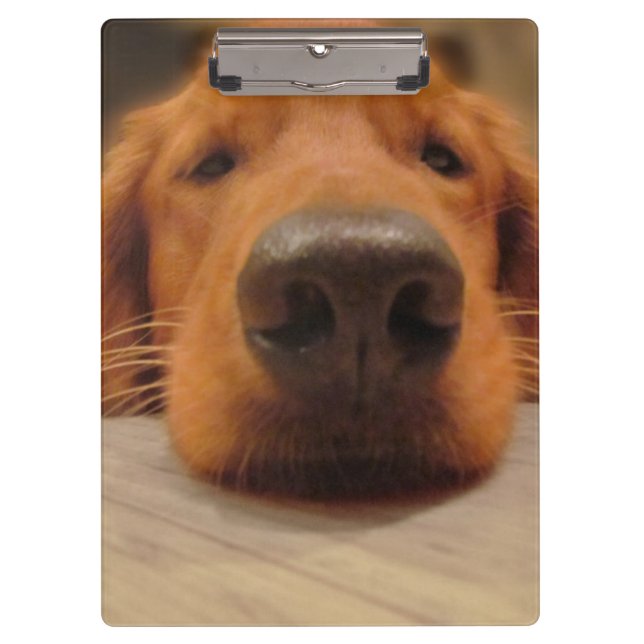 Porte-bloc Porte - bloc de golden retriever (Devant)