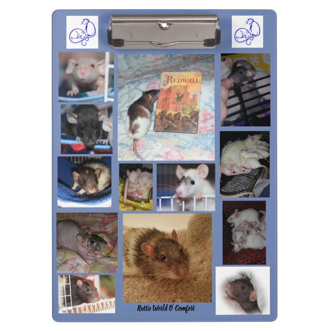 Porte-bloc Porte - bloc de Rattie (Devant)