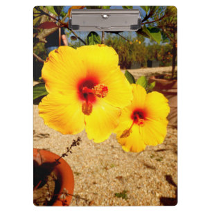 Porte-bloc Porte - bloc d'hibiscus jaune