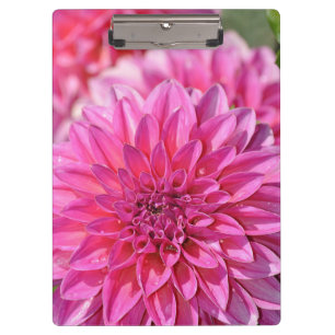 Porte-bloc Porte - bloc d'impression de fleur rose dahlia