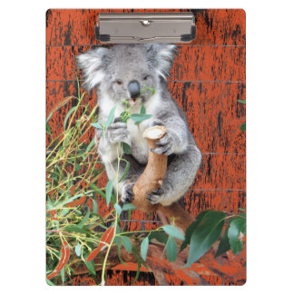Porte-bloc Porte - bloc du temps de restauration de Koala