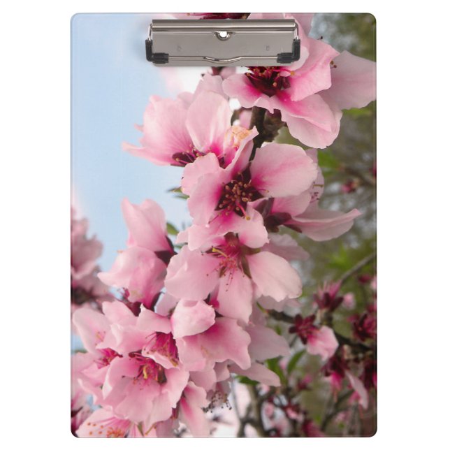 Porte-bloc Porte - bloc fleurissant rose de branche (Devant)