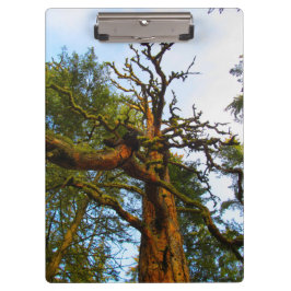 Porte-bloc Porte - bloc Mossy Tree