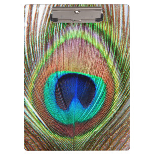 Porte-bloc Porte - bloc Peacock Feather