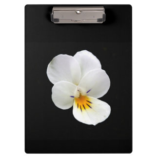 Porte-bloc Porte - bloc sauvage de Pansy