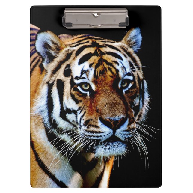 Porte-bloc Predateur du tigre (Devant)